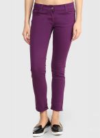 Style Quotient Purple Basic Color Jeans