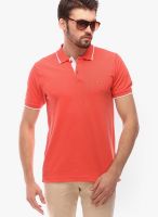 Urban Nomad Pink Solid Polo T-Shirts
