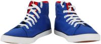 Vostro SY105 Sneakers(Blue, Black, Red)