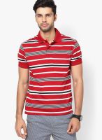 Wilkins & Tuscany Red Striped Polo T-Shirts