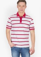 Wilkins & Tuscany Red Striped Polo T-Shirts