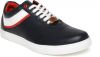 Harvard_Sneakers_1.jpg