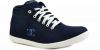 Mactree_Basics_Sneakers.jpg