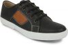 Metrogue_Sneakers.jpg