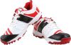 Proase_Stud_Cricket_Shoes_2.jpg