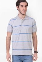 American Crew Grey Milange Striped Polo T-Shirts