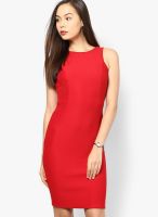 Dorothy Perkins Red Colored Solid Bodycon Dress