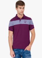 Elaborado Purple Solid Polo T-Shirt