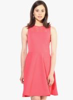 The Vanca Pink Colored Solid Skater Dress