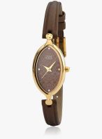 Titan Raga 2499YL01 Brown/Brown Analog Watch