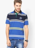 Wilkins & Tuscany Navy Blue Printed Polo T-Shirts