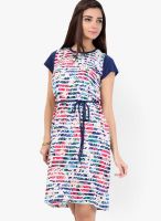 109F Blue Colored Printed Skater Dress