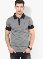 Arrow New York Black Solid Polo T-Shirts