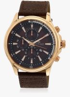 Daniel Klein Dk10258-2 Brown/Brown Analog Watch