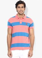 FREECULTR Pink Striped Polo T-Shirt