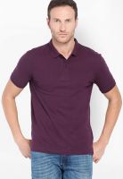 Highlander Wine Solid Polo TShirts