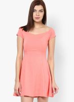 New Look Pink Colored Solid Skater Dress