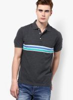 Peter England Dark Grey Striped Polo T-Shirts