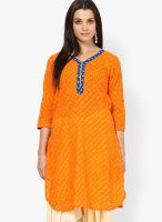 Sangria Orange Printed Kurtas