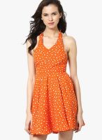 The Vanca Orange Colored Printed Skater Dress