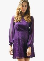 The Vanca Purple Colored Embroidered Skater Dress