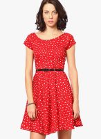 The Vanca Red Colored Printed Skater Dress