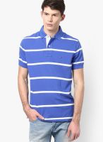 Tommy Hilfiger Blue Half Sleeve Polo T-Shirt