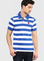 Turtle Blue Striped Polo T-Shirts