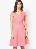 United Colors of Benetton Pink Colored Solid Skater Dress