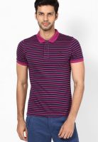 United Colors of Benetton Pink Striped Polo T-Shirts