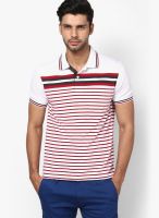 Wilkins & Tuscany White Striped Polo T-Shirts