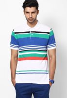 Wilkins & Tuscany White Striped Polo T-Shirts