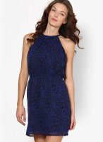 Calgari Blue Colored Solid Shift Dress