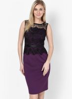 Dorothy Perkins Purple Colored Solid Bodycon Dress