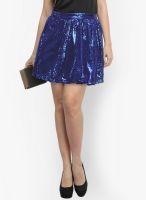 Faballey Blue Flared Skirt