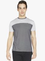 Globus Grey Solid Round Neck T-Shirt