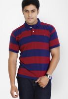 Globus Maroon Striped Polo T-Shirts