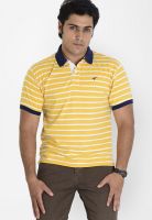 Globus Yellow Striped Polo T-Shirts