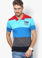 Turtle Blue Solid Polo T-Shirts