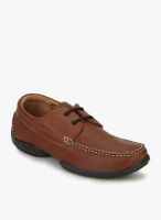 Woodland Brown Lifestyle Shoes