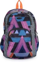 Bendly SP1 Grey 18 L Backpack(Multicolor)