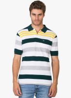 Duke Green Striped Polo T-Shirt