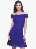 Faballey Blue Lace Shift Dress