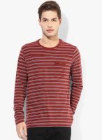 Forca By Lifestyle Maroon Round Neck T Shirt