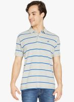 Globus Grey Striped Polo T-Shirt