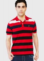 Globus Multicoloured Colored Striped Polo T-Shirts