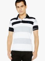 Globus Multicoloured Striped Polo T-Shirts