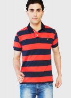 Globus Orange Striped Polo T-Shirts