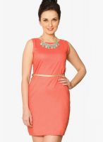 Miss Chase Orange Colored Solid Shift Dress