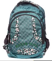 Raeen Plus Green-Designer-Series 10 L Backpack(Green)